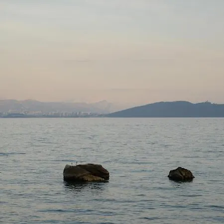 Mediterrano